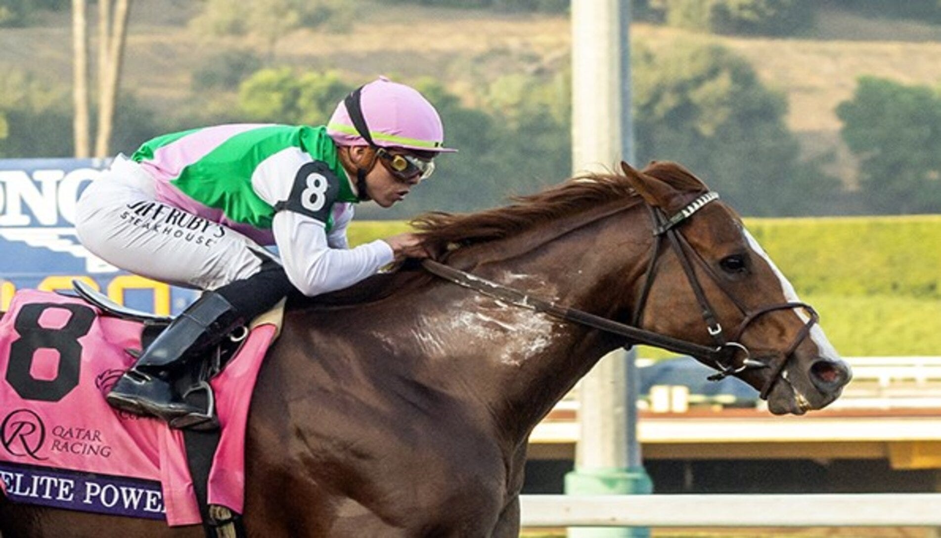 Breeders' Cup 2024 News, Results And Entries Daily Racing Form